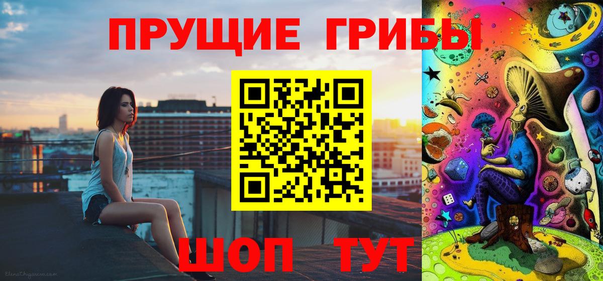 Галлюциногенные грибы прущие грибы  Вход с VPN  Вольск 